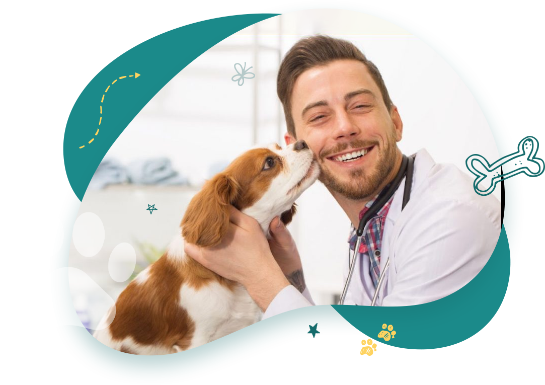 Wood Dale Pet Pharmacy Pawsome Custom Pet Meds